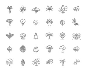Set of Tree shape Vector Line Icons.