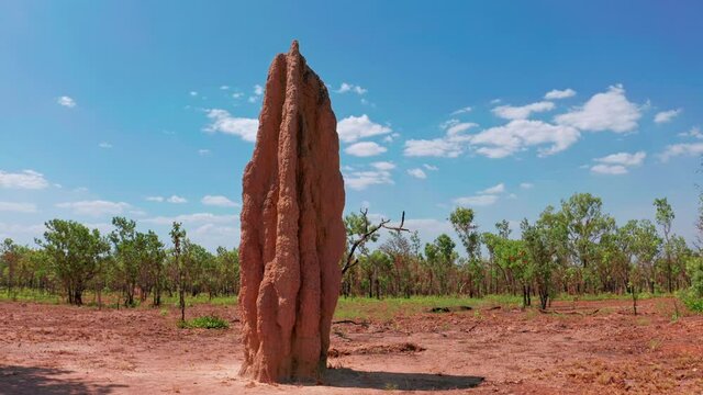 Outback Australia desert landscape. Termite house mound in wilderness of north