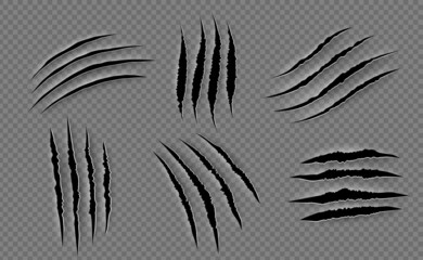 Claw scratches. Animal claw marks, claw scratches from animal attacks. Vector realistic image. - obrazy, fototapety, plakaty
