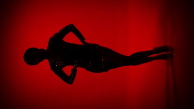 Stunning diva dance bar vertical stage isolated maroon color background