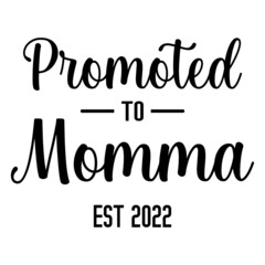 Promoted to Momma Est 2022