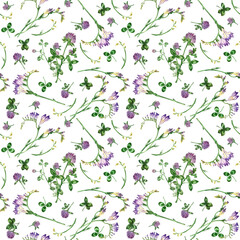 Fototapeta na wymiar Watercolor seamless pattern on hand-drawn. Meadow flowers: clover, clover leaves, buds, freesia buds on a white background. Suitable for design of invitations, weddings, printing on fabric.