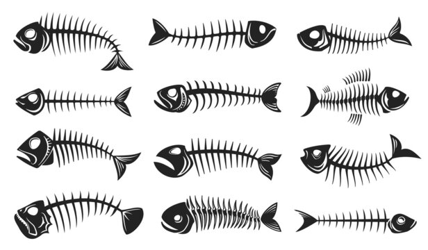 Fish bone icons, fishbone isolated skeleton vector silhouettes. Cartoon dead fish bones of spine tail and head skull of sea herring, barracuda or piranha, marine and nautical symbols