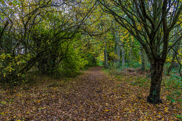 Obraz premium An Autumn view beside the Grand Union canal in Syston UK, england