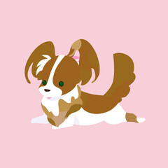 犬_伏せるパピヨン