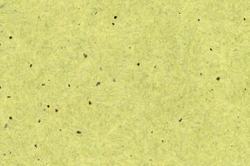 若苗色の黒皮が入った和紙