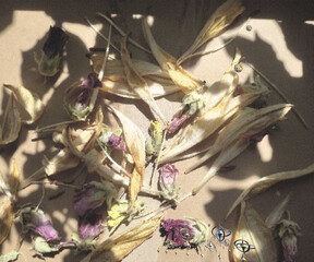 still life with flowers and leaves