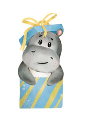 Hand drawn cute isolated watercolor hippo in present box