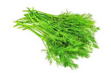 Bunch fresh dill herb isolated on white background