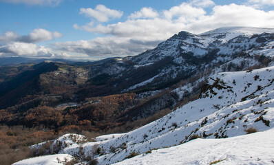 montaña en otoño, arboles naranjas y montañas con nieve