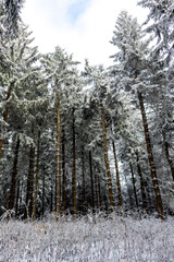Fototapeta premium Wunderschöne Winterlandschaft auf den Höhen des Thüringer Waldes bei Oberhof - Thüringen