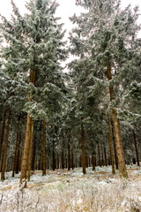 Wunderschöne Winterlandschaft auf den Höhen des Thüringer Waldes bei Oberhof - Thüringen