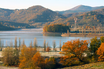 Colori autunnali sulla riva di un lago, marrone e giallo delle foglie che cadono