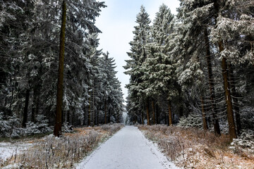 Wunderschöne Winterlandschaft auf den Höhen des Thüringer Waldes bei Oberhof - Thüringen