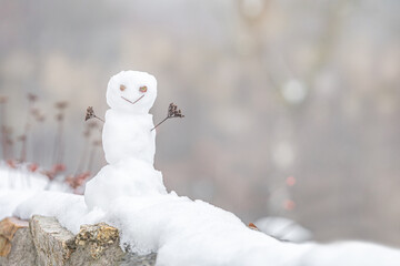 A cute little snowman outdoors. Text space.