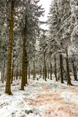 Wunderschöne Winterlandschaft auf den Höhen des Thüringer Waldes bei Oberhof - Thüringen