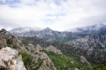 Fototapeta na wymiar Peaks of the Taurus mountains covered with conifer trees