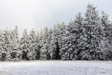 Wunderschöne Winterlandschaft auf den Höhen des Thüringer Waldes bei Oberhof - Thüringen