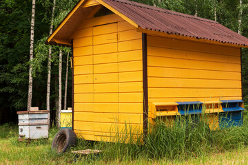 Big bee house in the forest at bright summer day.