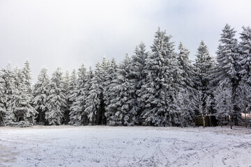 Wunderschöne Winterlandschaft auf den Höhen des Thüringer Waldes bei Oberhof - Thüringen