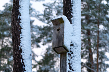 Wooden handmade birdhouse hanging on the tree at snowy winter day.