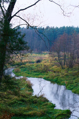 Rawka, rzeka, mokradła, 