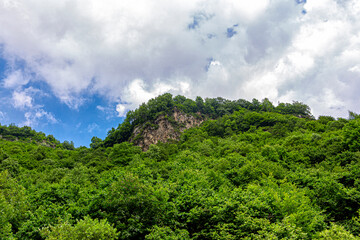 Fototapeta na wymiar Mountain with green foliage on a blue sky background