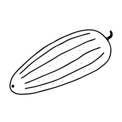 Vector outline illustration of one fresh cucumber isolated on a white background