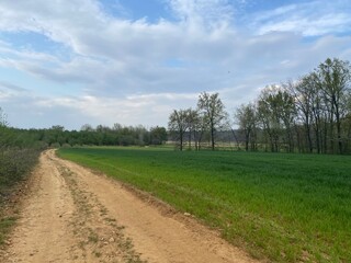 Campagna