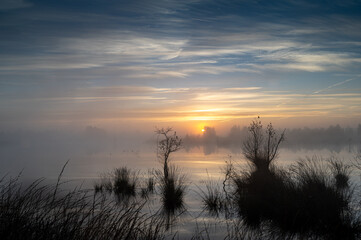 Obraz premium Morgennebel