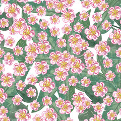 Watercolor simple pattern pink plum flowers and leaves
