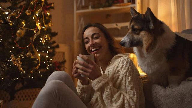 4k slow motion b-roll happy woman wearing warm knitted sweater drinking hot chocolate and relaxing sitting on floor with her cute Welsh Corgi dog in decorated house with Christmas tree