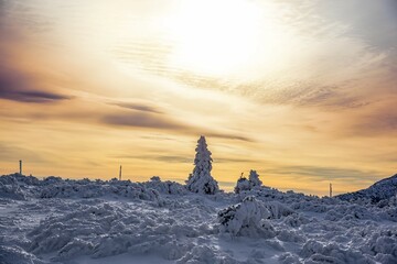 ice kingdom amid sunset in cold winter weather
