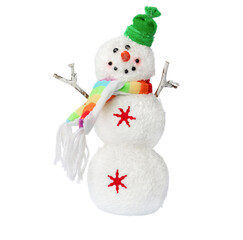 snowman isolated on white