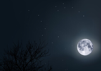 Een maanverlichte hemel, met de grote beer en de poolster als oriëntatiepunt, midden in de ruimte en het heelal.
