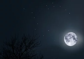 Fotobehang Volle maan en bomen Een maanverlichte hemel, met de grote beer en de poolster als oriëntatiepunt, midden in de ruimte en het heelal.
