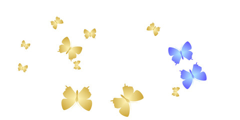 Magic bright butterflies abstract vector illustration. Summer cute moths. Detailed butterflies abstract baby background. Sensitive wings insects graphic design. Nature beings.