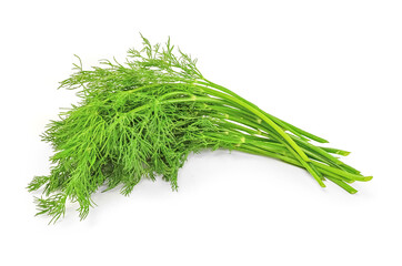 Dill herb closeup isolated on white background