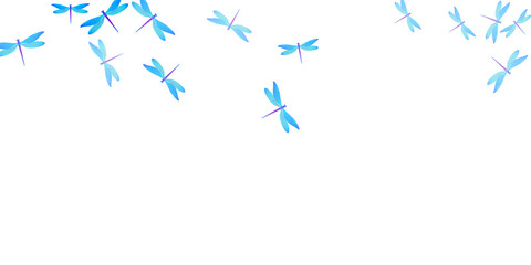 Fototapeta na wymiar Tropical cyan blue dragonfly cartoon vector wallpaper. Summer ornate damselflies. Detailed dragonfly cartoon children illustration. Tender wings insects graphic design. Tropical beings