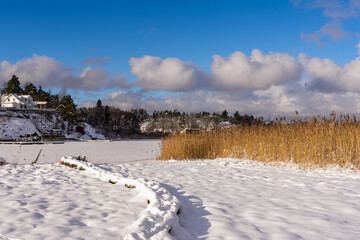 Ice covered lake pond with reeds on the edge of village in northern Europe. Winter time. Snowy path road. Footprints of people in the snow. In the distance rural houses. Blue sky background.