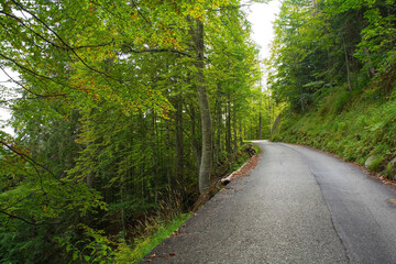 Fototapeta na wymiar A road on Monte Ruke near Sauris di Sopra, Udine Province, Friuli-Venezia Giulia, north east Italy. Late September 