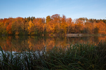 Obraz premium Herbstlandschaft am Stausee 