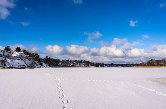 Ice covered lake pond on the edge of village in northern Europe. Winter time. Snowy path road. Footprints of people in the snow. In the distance beautiful village houses. Blue sky background.
