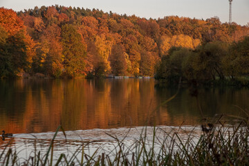 Obraz premium Herbstlandschaft am Stausee 
