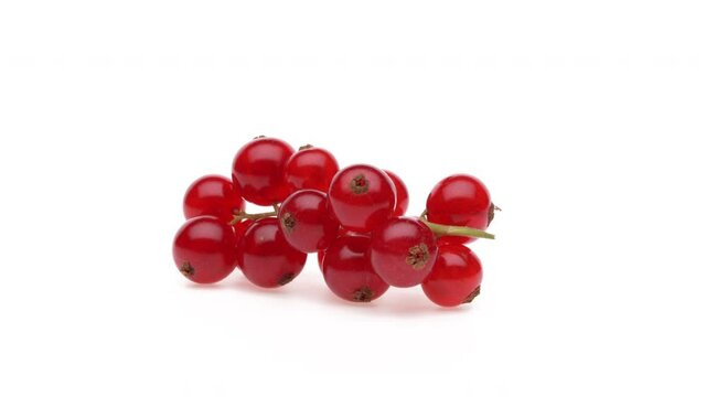 Closeup of redcurrant sprig rotating. Isolated on the white background.