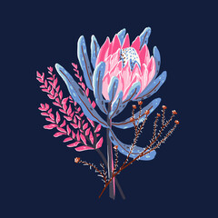 Protea flower vector gouache illustration. Bouquet hand-drawn for posters or cards.