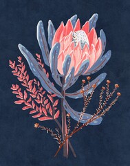 Protea flower gouache illustration. Bouquet hand-drawn for posters or cards.