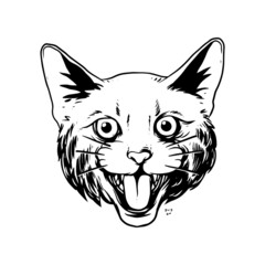 Fototapeta na wymiar a growling cat illustration. a hand drawn illustration of a wild animal head. line art drawing for emblem, poster, sticker, tattoo, etc.