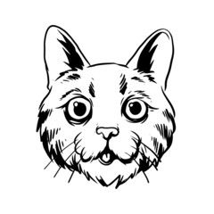 a cat with a cute face illustration. a hand drawn illustration of a wild animal head. line art drawing for emblem, poster, sticker, tattoo, etc.