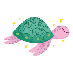 turtle undersea life